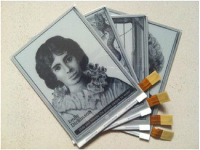 Ein guter Preis. Original 6,0 Zoll E-Tintenbildschirm 600×800 SVGA mit 34 Pins Steckverbinder für Kindle E-Papiermodul Online