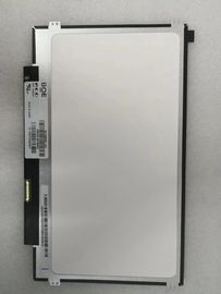 BOE 11,6 